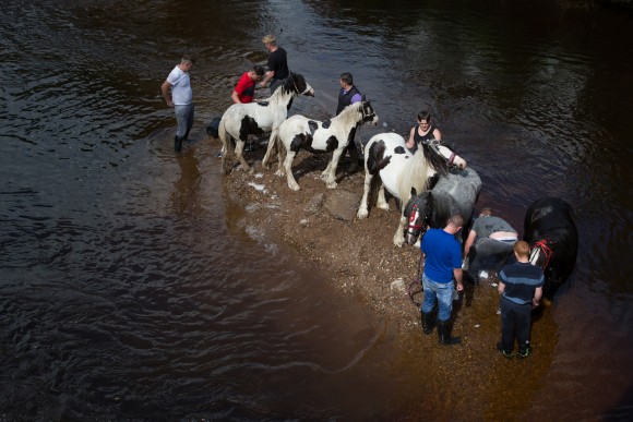 My kingdom for a horse: The story of Appleby Fair My kingdom for a horse: The story of Appleby Fair